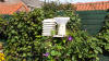 weerstation_001_small.jpg