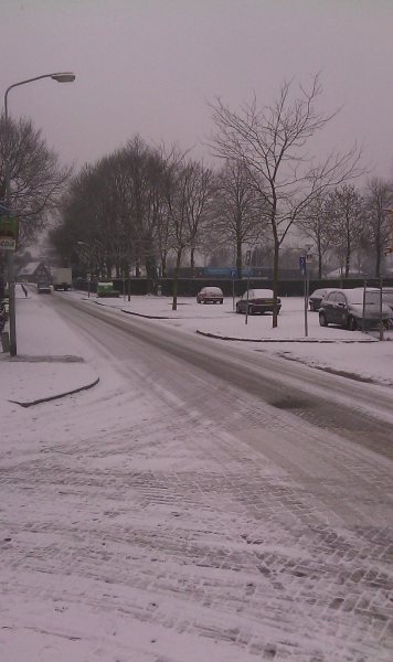IMAG0168.jpg