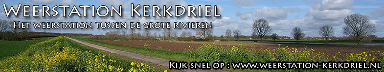 advertentie_Carillon.jpg
