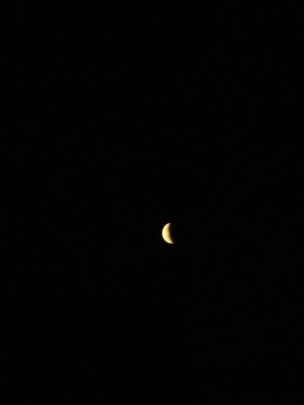 DSC06101.jpg