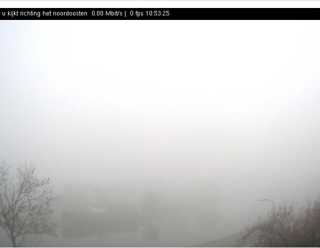 fog.jpg