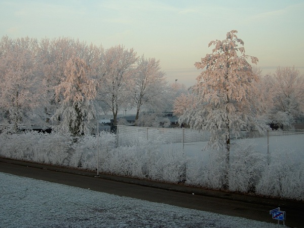 PICT00351.jpg