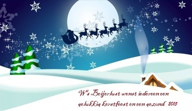 Kerst_2014-ff39dc4755bb4b180c28dc09ae83ebde.jpg